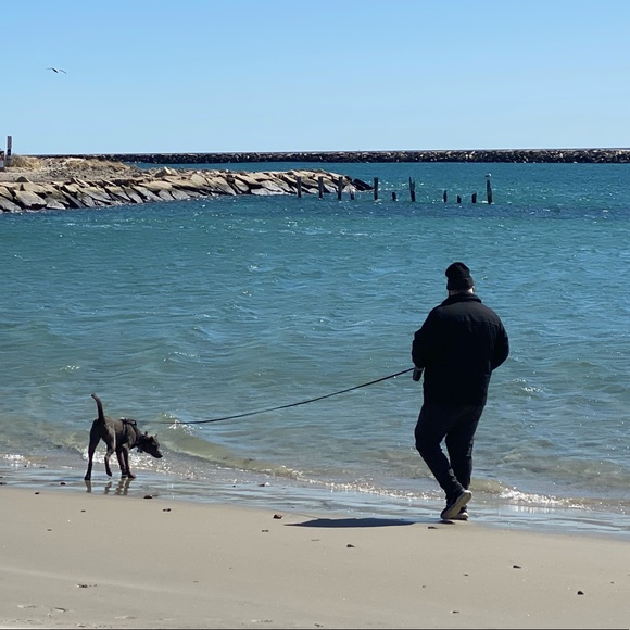 Meet your Posher, Beth - Picture 12 of 14